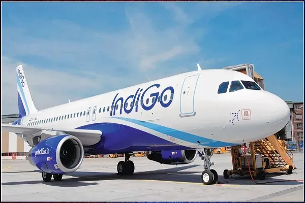 indigo